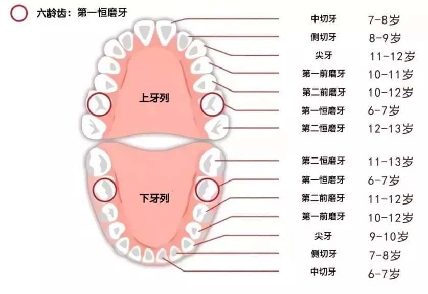 捕获.PNG